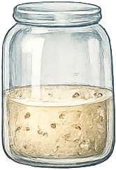 Sourdough starter warming after refrigeration