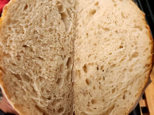 Classic Sourdough thumbnail 2