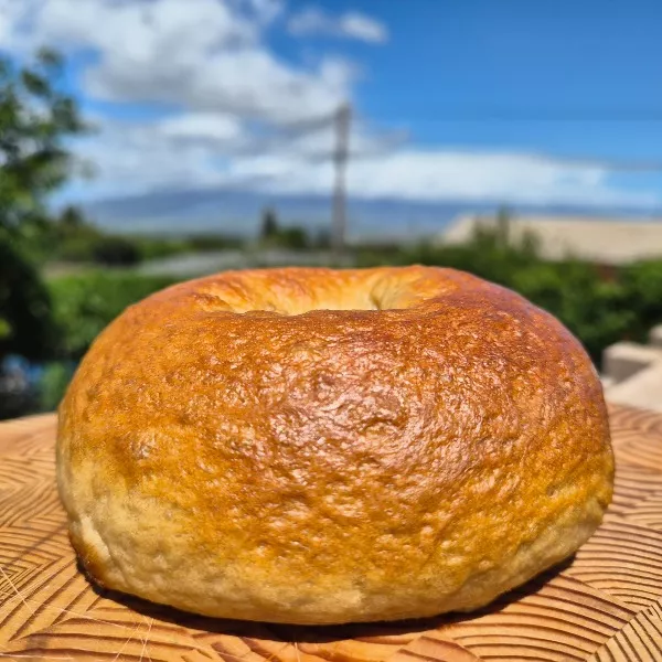Sourdough Bagels - Plain thumbnail 3