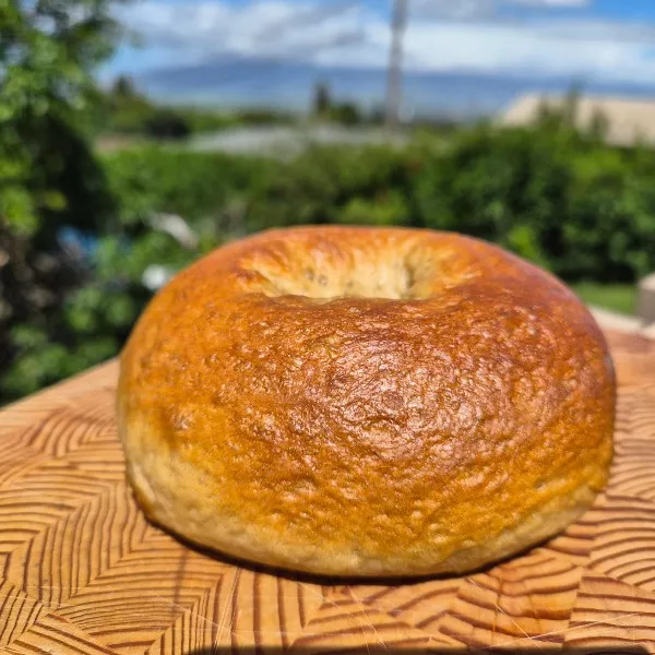 Sourdough Bagels - Plain thumbnail 2