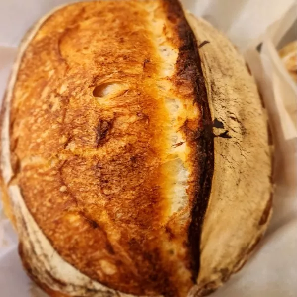 Classic Sourdough thumbnail 1