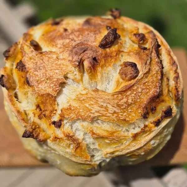 Sourdough Bread - Roasted Garlic thumbnail 2