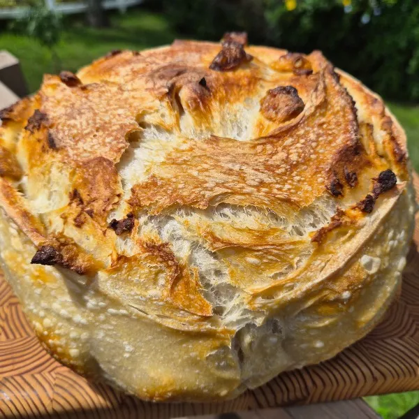 Sourdough Bread - Roasted Garlic thumbnail 1