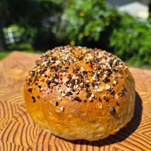 Sourdough Bagels - Everything Seasoning thumbnail 2